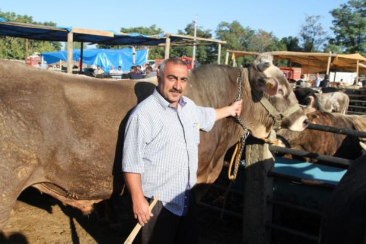 Kurban Pazarı Hareketlendi